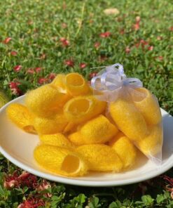 Kén Tằm Vàng